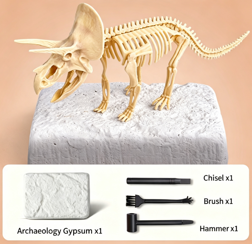 🦖Dinosaur Fossil Digging Kit