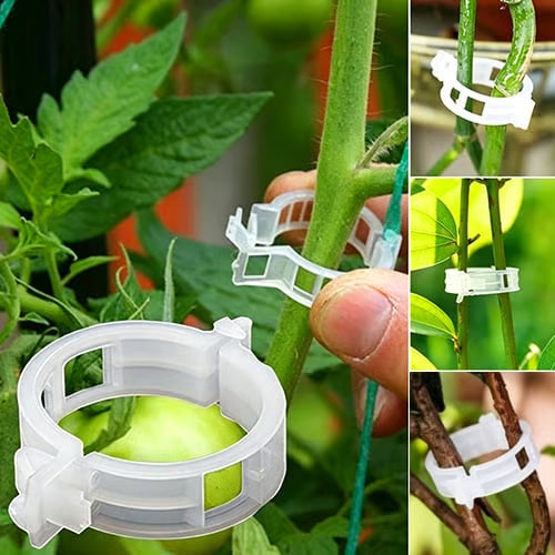 🌱 🍅 Plant Support Clips – Easy Vine Training & Secure Plant Growth