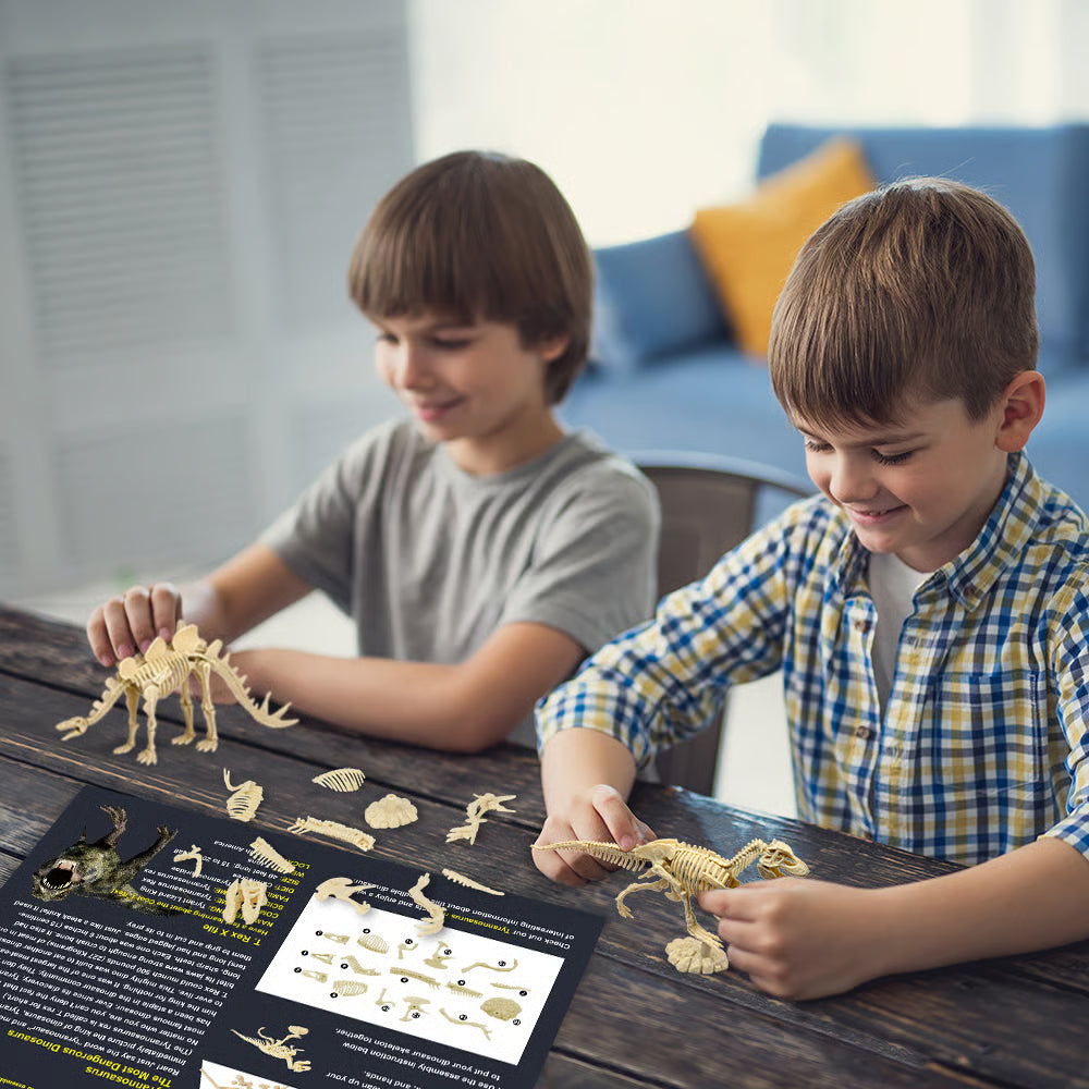🦖Dinosaur Fossil Digging Kit