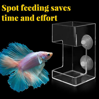 🐟 Last Day Special Price!✨Buy more save more🎁Aquarium Feeding Ring and Tray