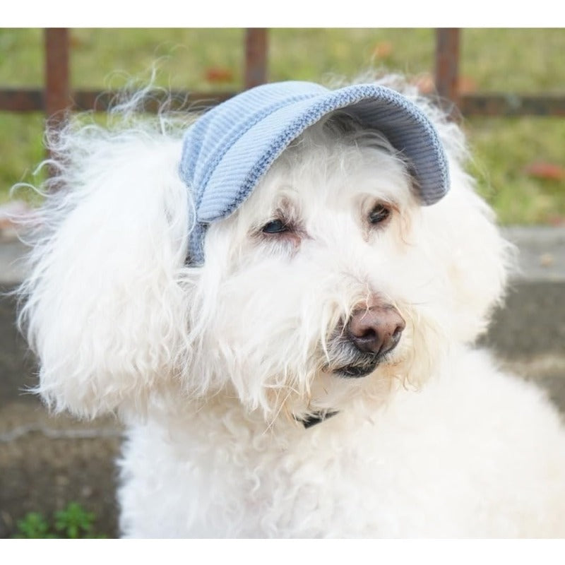 🐶🧢UV-Blocking Pet Baseball Hat – Stylish Sun Protection for Dogs ☀️✨