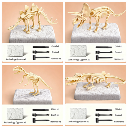 🦖Dinosaur Fossil Digging Kit