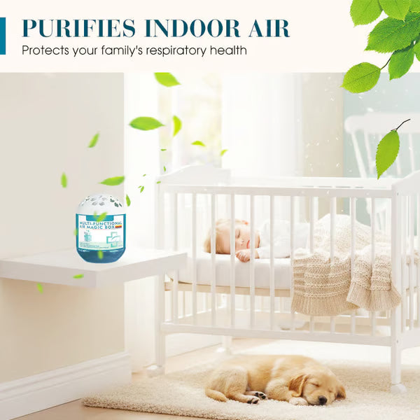 🔥 2026 New Collection – Limited-Time Offer ⏰ Indoor Air Purification Dust Removal Magic Box