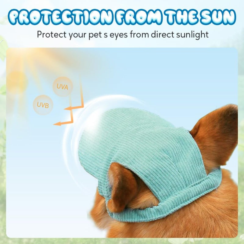 🐶🧢UV-Blocking Pet Baseball Hat – Stylish Sun Protection for Dogs ☀️✨