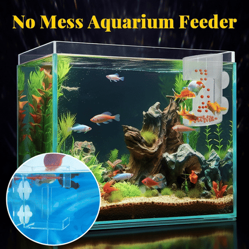 🐟 Last Day Special Price!✨Buy more save more🎁Aquarium Feeding Ring and Tray
