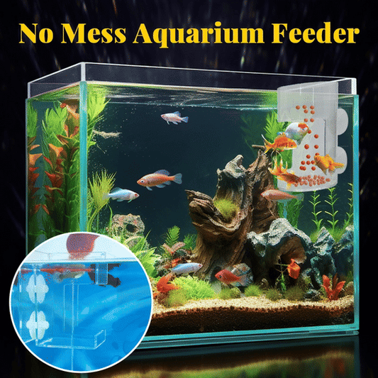 🐟 Last Day Special Price!✨Buy more save more🎁Aquarium Feeding Ring and Tray