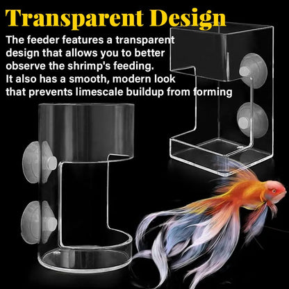 🐟 Last Day Special Price!✨Buy more save more🎁Aquarium Feeding Ring and Tray