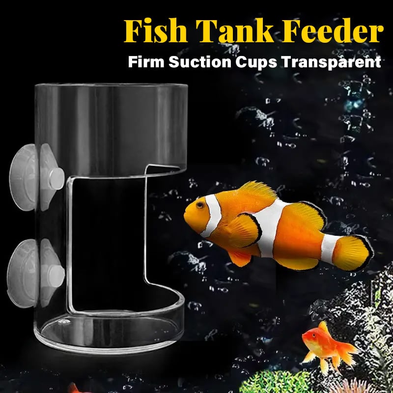 🐟 Last Day Special Price!✨Buy more save more🎁Aquarium Feeding Ring and Tray